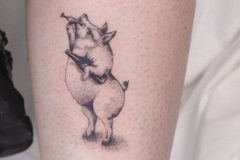 IMG_5216-2 IMG_5216-2